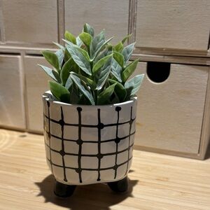 Black and White Grid Planter
